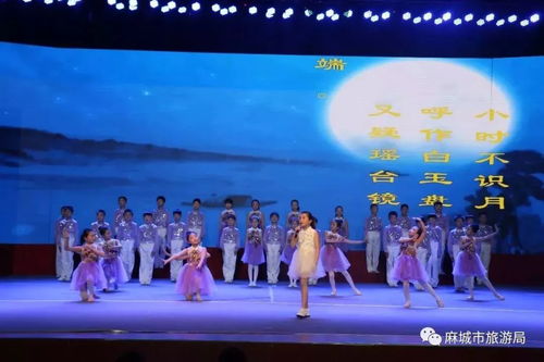 少年風國學誦大賽精品展演暨孝善國學講堂活動圓滿成功