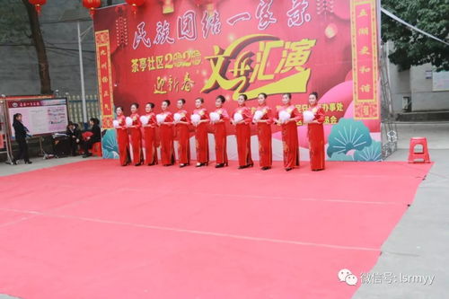 黨員文藝展風采 志愿服務暖人心——我院黨員志愿者社區文藝表演側記